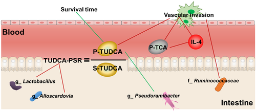Details are in the caption following the image Details are in the caption following the image