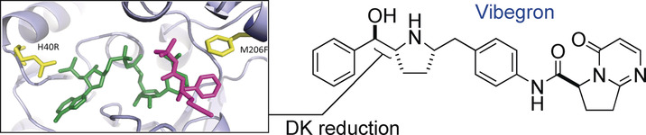 Synthesis of Vibegron Enabled by a Ketoreductase Rationally Designed for High pH Dynamic Kinetic Reduction