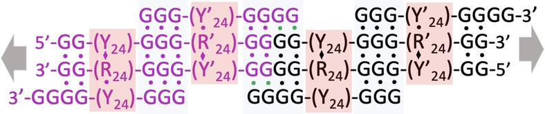 A Long and Reversibly Self-Assembling 1D DNA Nanostructure Built from Triplex and Quadruplex Hybrid Tiles