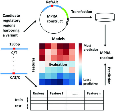 Predicting gene expression in massively parallel reporter assays: A comparative study