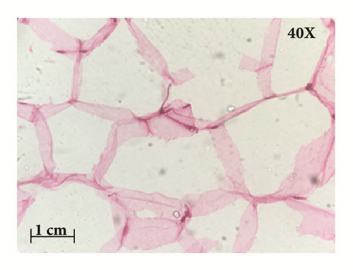 Details are in the caption following the image