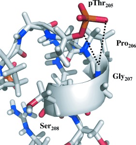 A Phosphorylation-Induced Turn Defines the Alzheimer’s Disease AT8 Antibody Epitope on the Tau Protein