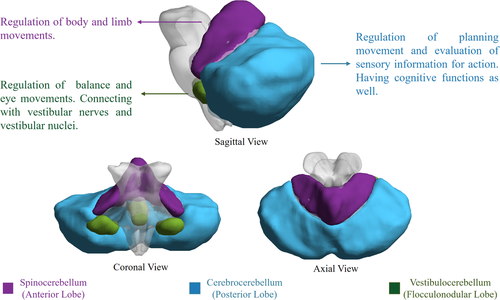 Details are in the caption following the image Details are in the caption following the image