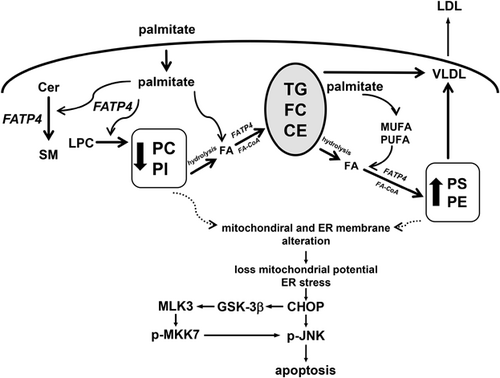 Details are in the caption following the image