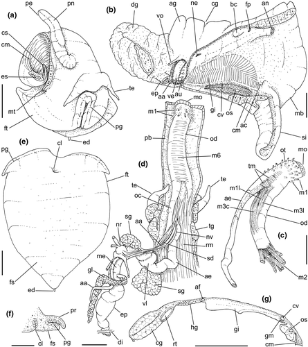 Details are in the caption following the image Details are in the caption following the image