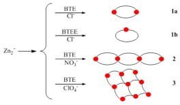 Anion and Length-Modulated Bidentate N-Donor Ligand Controlled Zn(II) Metal-Organic Frameworks