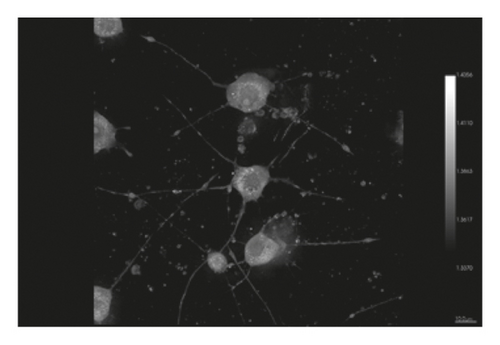 Details are in the caption following the image