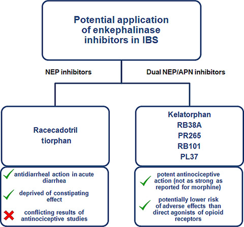 Enkephalinase inhibitors, potential therapeutics for the future treatment of diarrhea predominant functional gastrointestinal disorders