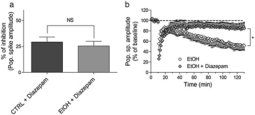 Increase of KCC2 in hippocampal synaptic plasticity disturbances after perinatal ethanol exposure