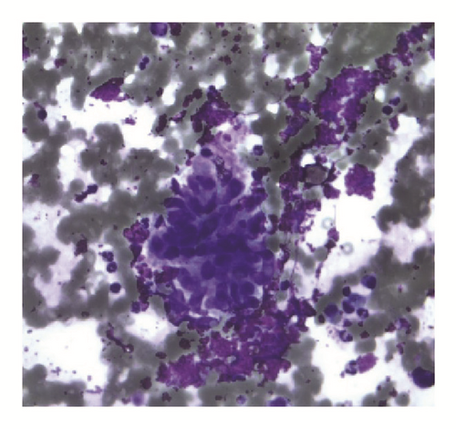Details are in the caption following the image