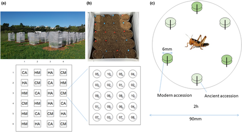 Details are in the caption following the image Details are in the caption following the image