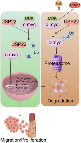 Details are in the caption following the image