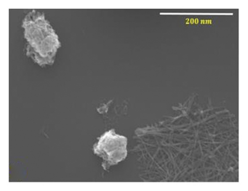 Details are in the caption following the image
