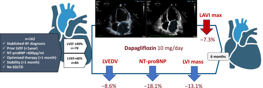 Impact of dapagliflozin on cardiac remodelling in patients with chronic heart failure: The DAPA-MODA study