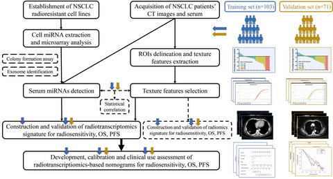 Radiotranscriptomics signature-based predictive nomograms for radiotherapy response in patients with nonsmall cell lung cancer: Combination and association of CT features and serum miRNAs levels