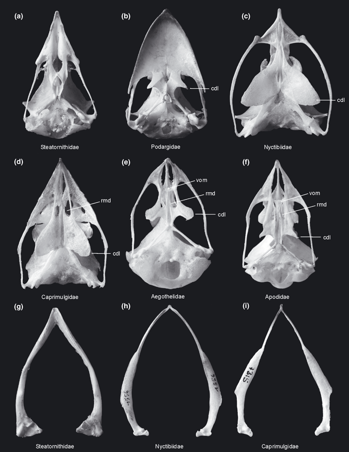 Details are in the caption following the image Details are in the caption following the image
