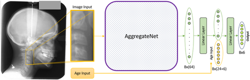 Details are in the caption following the image Details are in the caption following the image