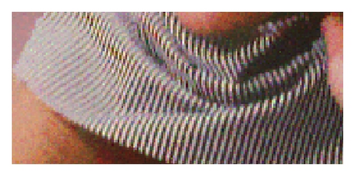 Details are in the caption following the image