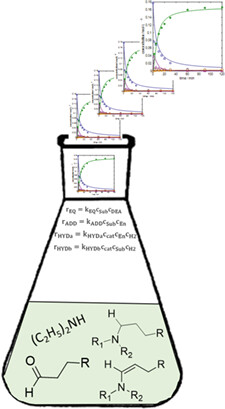 Kinetic Modeling of Rhodium-Catalyzed Reductive Amination of Undecanal in Different Solvent Systems
