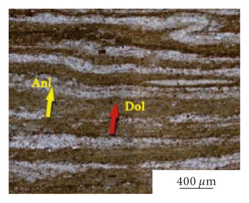 Details are in the caption following the image