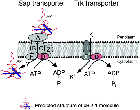 Details are in the caption following the image Details are in the caption following the image