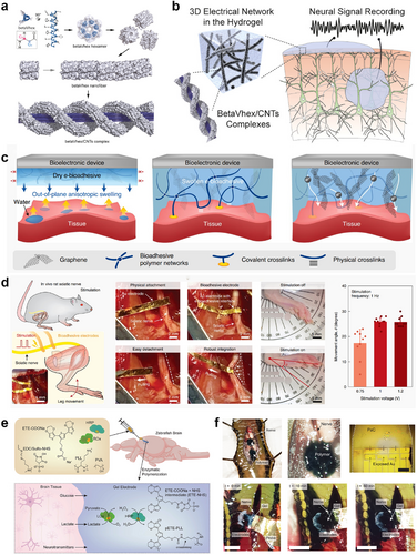 Details are in the caption following the image Details are in the caption following the image