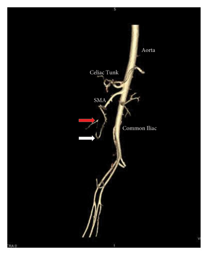 Details are in the caption following the image Details are in the caption following the image