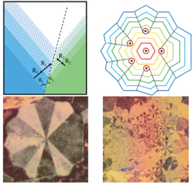 Growth and Selective Etching of Twinned Graphene on Liquid Copper Surface