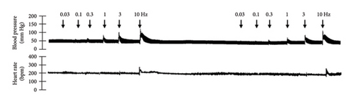 Details are in the caption following the image