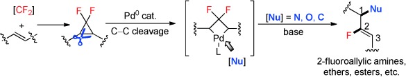 Pd-Catalyzed Regioselective Activation of gem-Difluorinated Cyclopropanes: A Highly Efficient Approach to 2-Fluorinated Allylic Scaffolds