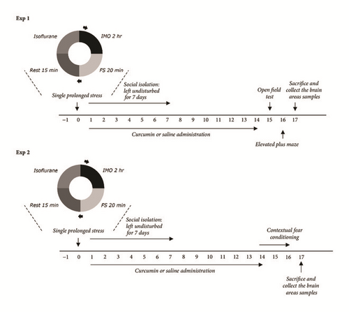 Details are in the caption following the image