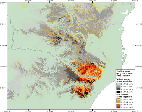 Cold spot microrefugia hold the key to survival for Brazil's Critically Endangered Araucaria tree