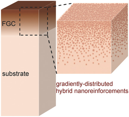 Bioinspired Wear-Resistant and Ultradurable Functional Gradient Coatings