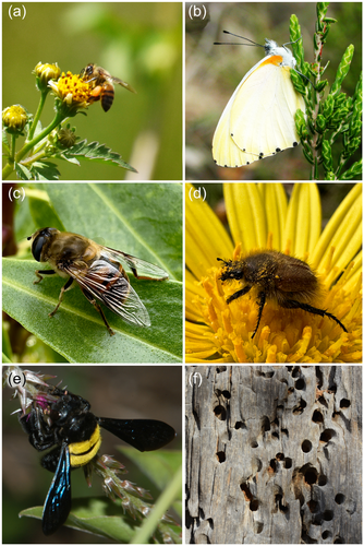 Details are in the caption following the image Details are in the caption following the image