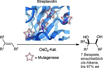 OsO4⋅Streptavidin: A Tunable Hybrid Catalyst for the Enantioselective cis-Dihydroxylation of Olefins