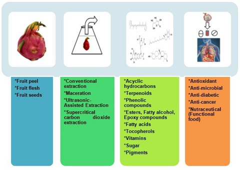 Phytoconstituents and pharmaco-therapeutic benefits of pitaya: A wonder fruit