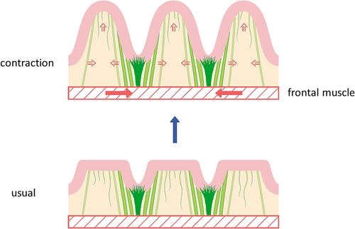 Details are in the caption following the image Details are in the caption following the image