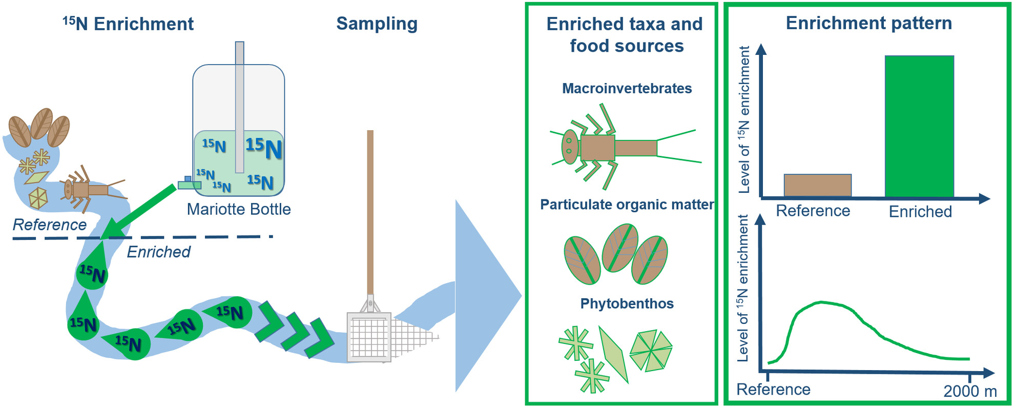 Stable isotopes (15N) facilitate non-invasive labelling of large quantities of macroinvertebrates across different species and feeding types