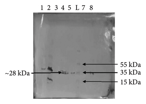 Details are in the caption following the image
