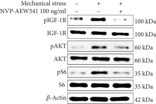 Details are in the caption following the image