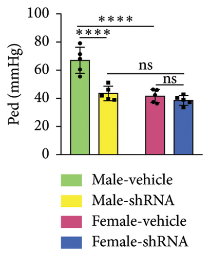Details are in the caption following the image