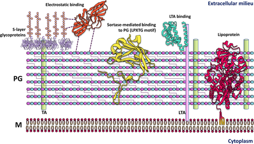 Details are in the caption following the image