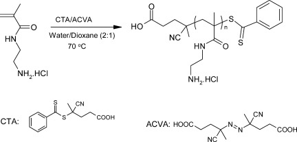 Facile synthesis of controlled-structure primary amine-based methacrylamide polymers via the reversible addition-fragmentation chain transfer process