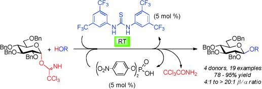 Cooperative Catalysis in Glycosidation Reactions with O-Glycosyl Trichloroacetimidates as Glycosyl Donors