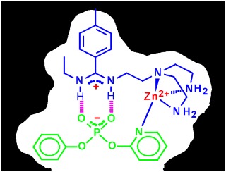 Molecularly Imprinted Polymers with Strong Carboxypeptidase A-Like Activity: Combination of an Amidinium Function with a Zinc-Ion Binding Site in Transition-State Imprinted Cavities