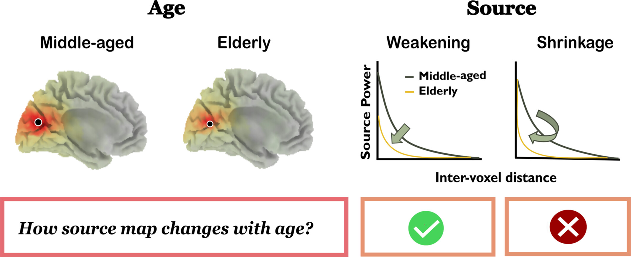 Stimulus-Induced Gamma Sources Reduce in Power but Not in Spatial Extent With Healthy Aging in Human EEG