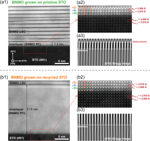 Details are in the caption following the image Details are in the caption following the image
