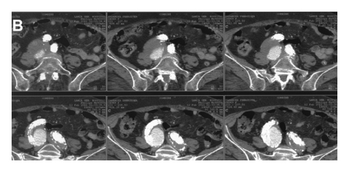 Details are in the caption following the image Details are in the caption following the image