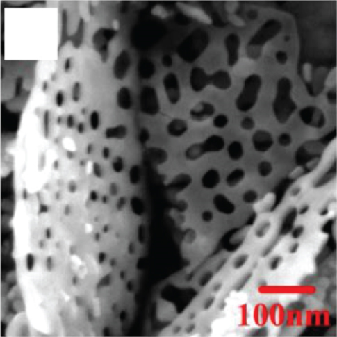 Details are in the caption following the image