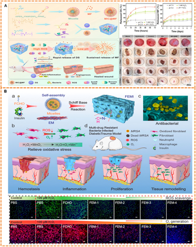 Details are in the caption following the image Details are in the caption following the image